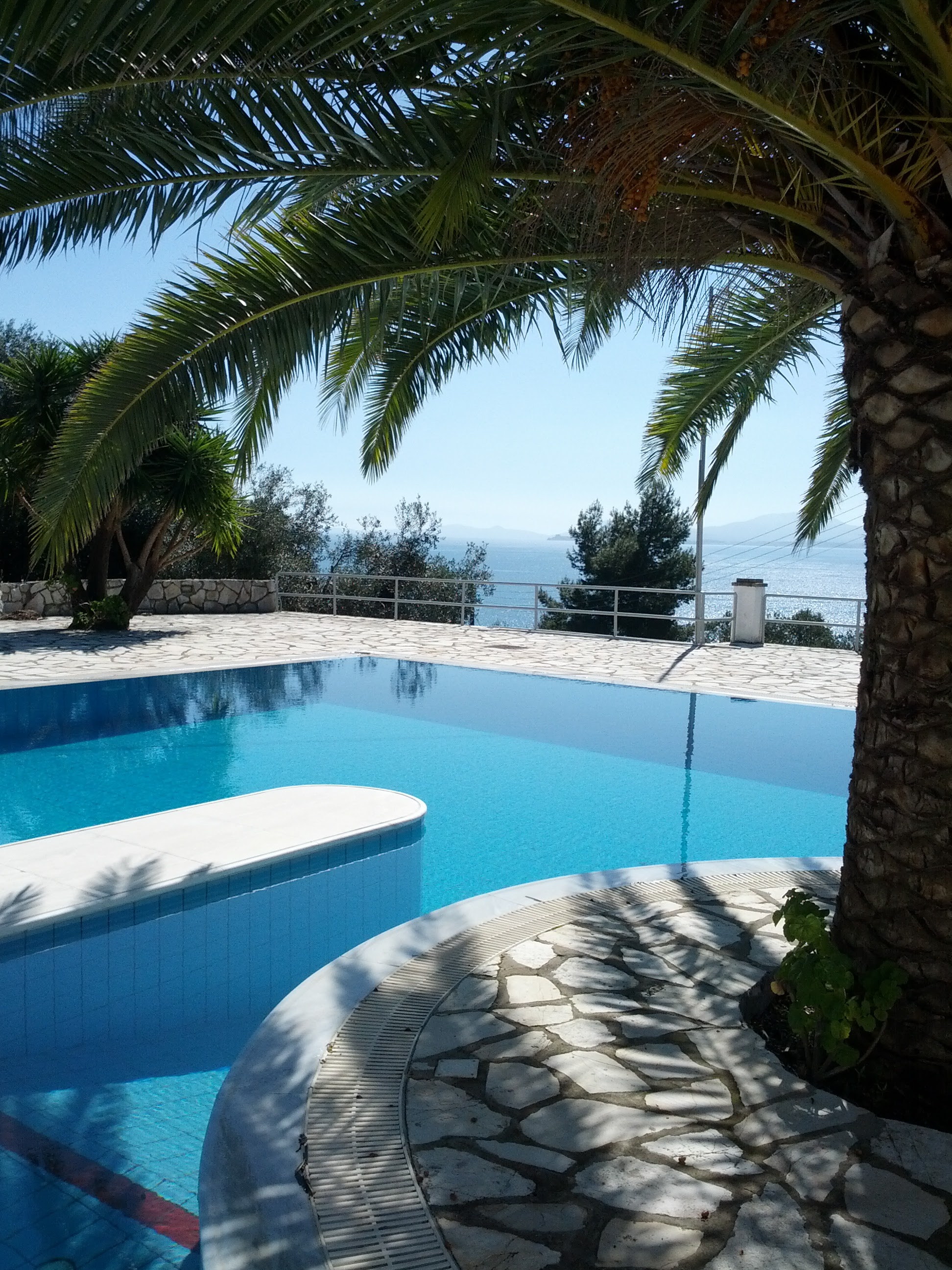 Pool mit Palme und Meerblick