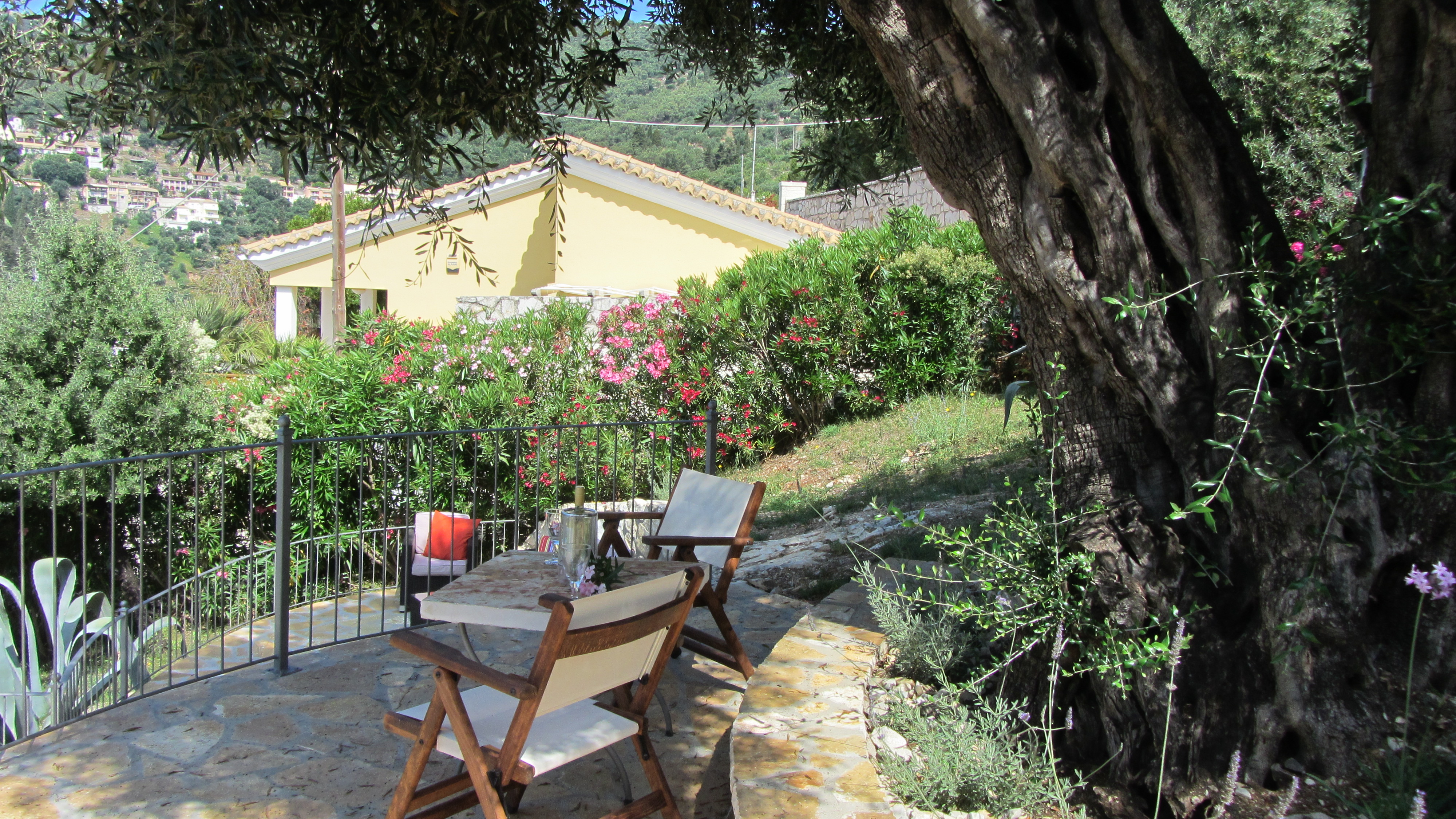 Entspannen unter Olivenbäumen